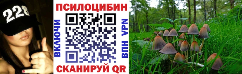 Купить закладки  Лахденпохья  Галлюциногенные грибы Cubensis 